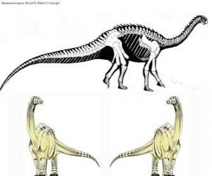 Puzzle Zizhongosaurus είναι ένα γένος βασική φυτοφάγο σαυρόποδων δεινοσαύρων, που έζησε κατά την πρώιμη Ιουράσια περίοδο της Κίνας.